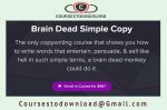 Nate Schmidt - Brain Dead Simple Copy