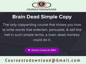 Nate Schmidt - Brain Dead Simple Copy