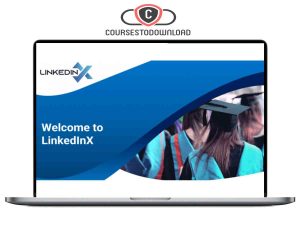 Alex Berman – LinkedInX Download