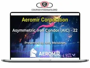 Aeromir - Amy Meissner's AIC-22 Workshop Download